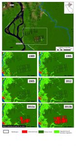 Image 2c. Tamshiyacu Landsat time series, 1989 – 2013. See text for definition of primary forest. Key sources: USGS.