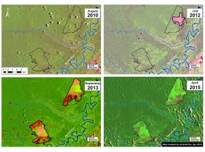 Image 4b. Landsat time-series (2010 – 2015) for both large-scale oil palm projects near Nueva Requena. Key data sources: USGS.