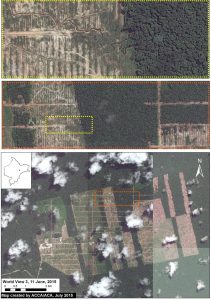 Image of the Week 9a. Mosaic of very high-resolution (33 cm) images of the United Cacao plantation near Tamshiyacu, Peru, in June 2015. Colors indicate insets. Data: WorldView-3 from Digital Globe (NextView).