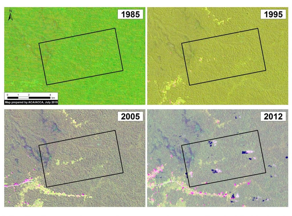 Image 9b. Landsat time-series (1985-2012) of the future United Cacao plantation area (indicated by black box) prior to arrival of the company. Data: USGS