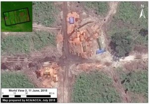 Image 9f. A sawmill detected within the cacao project area. Inset: The pink dot indicates location of sawmill within the project area. Data: WorldView-3 de Digital Globe (NextView).