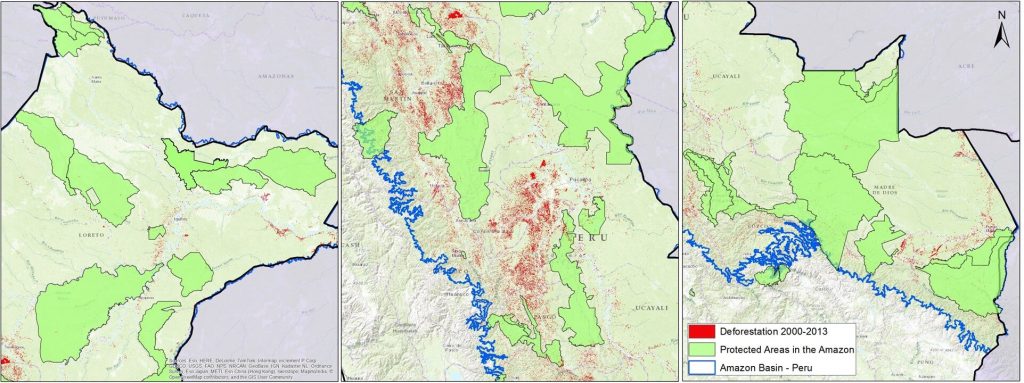 Image 11b. Regional zooms (north, central, south) of recent forest loss in relation to protected areas. Data: SERNANP, PNCB-MINAM/SERFOR-MINAGRI, NatureServe.