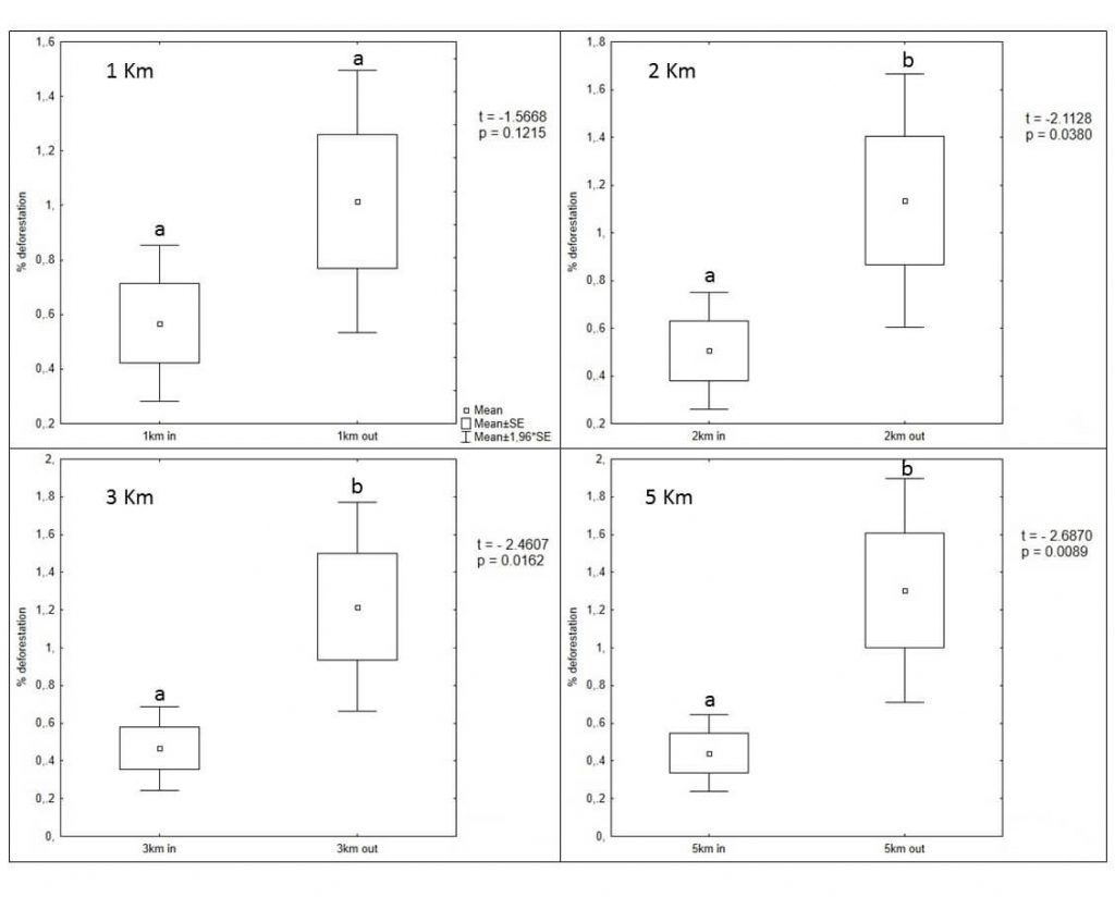 Image 11d. Results of deforestation analysis.