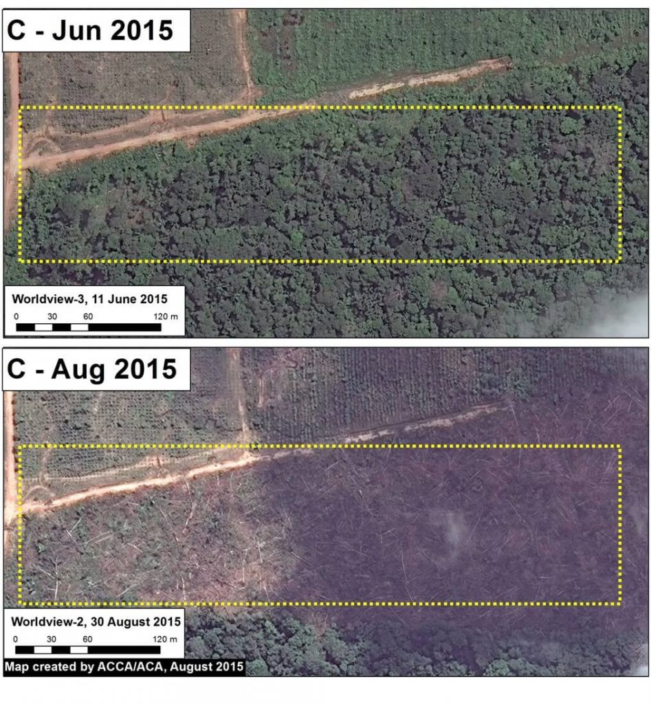 Image 13e. Zoom C. Data: WorldView from Digital Globe (NextView).