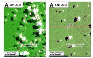 Image 15a. Landsat (30 m res) images of the new logging road crossing the Sierra del Divisor Reserved Zone. Data: USGS, SERNANP