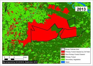 Image 16b. Primary forest cleared within and around Grupo Palmas projects.