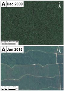 Image 16d. High-resolution zoom A; deforestation outside the Grupo Palmas project. Data: Google Earth, WorldView-2 from Digital Globe (NextView).