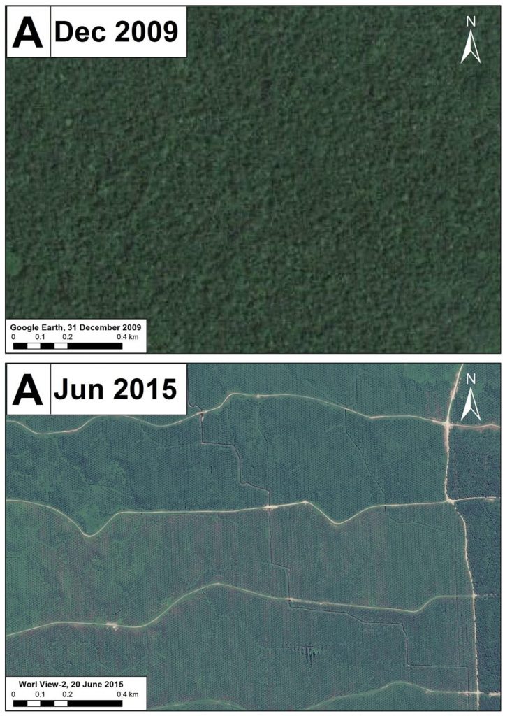 Image 16d. High-resolution zoom A; deforestation outside the Grupo Palmas project. Data: Google Earth, WorldView-2 from Digital Globe (NextView).