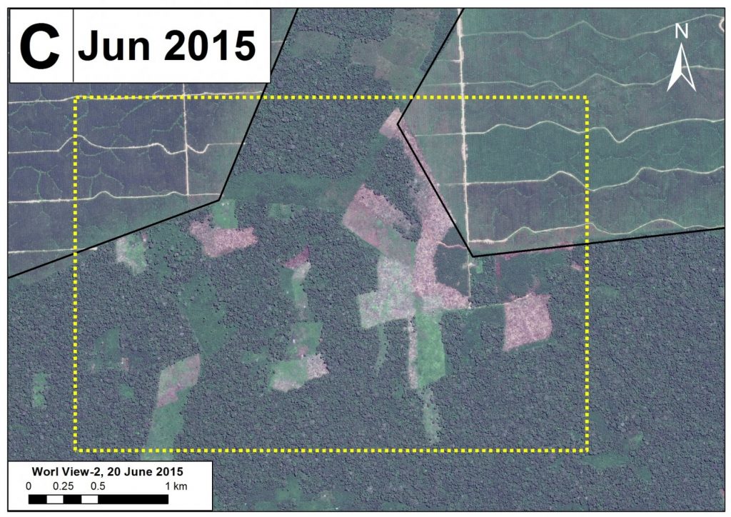 Image 16f. High-resolution zoom C. Data: Google Earth, WorldView-2 from Digital Globe (NextView).