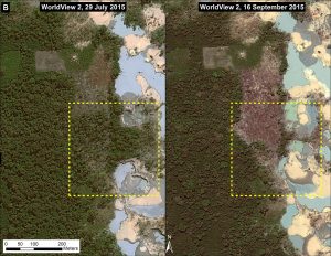 Image 17c. Deforestation expanding to the west between July and September 2015. Data: WorldView Digital Globe (NextView).