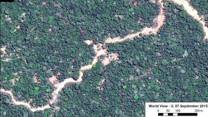 Image 18a. New logging road in the Peruvian Amazon. Data: WorldView-2 of Digital Globe (NextView).