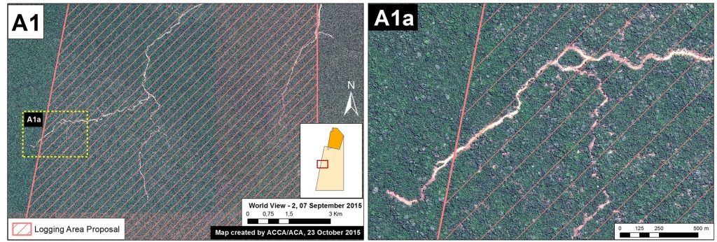 Image 18d. High-resolution image of a new forest road in the southeast buffer zone of Cordillera Azul National Park. Data: WorldView-2 of Digital Globe (NextView).