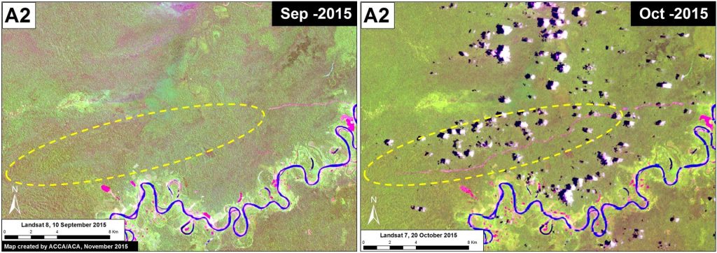 Image 18e. Time series of a forest road in the southeast buffer zone of Cordillera Azul National Park. Data: USGS.