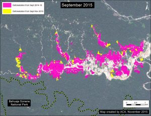 Image 19b. Zoom of gold mining deforestation near the Bahuaja Sonene National Park. Data: SERNANP, WorldView-2 from Digital Globe (NextView).