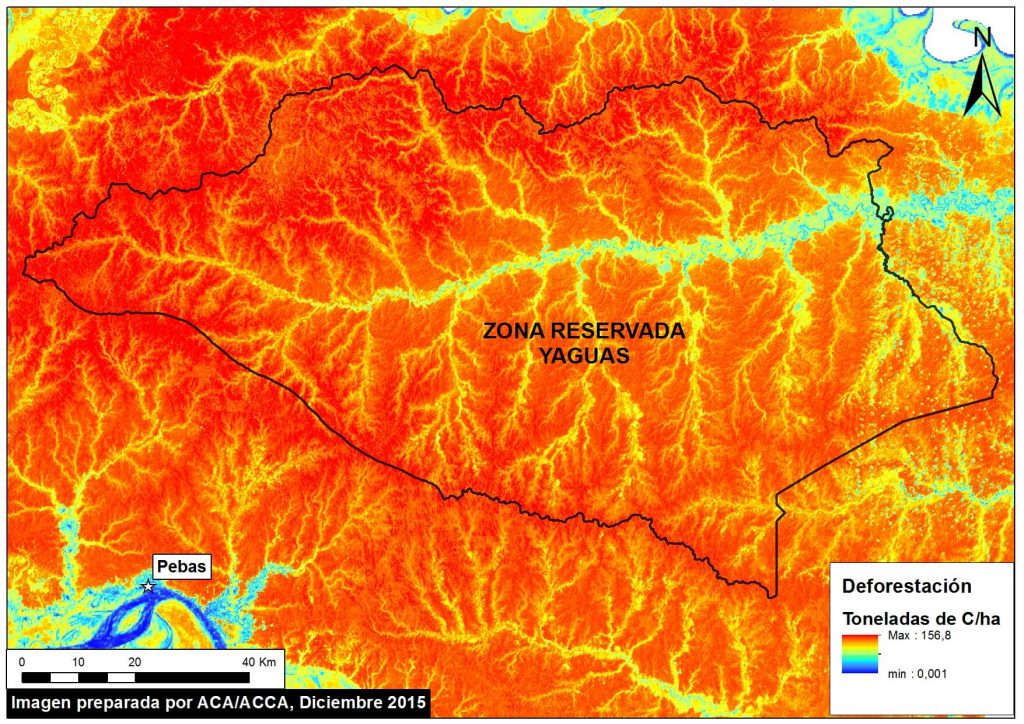 Image 22c. High-resolution carbon geography of the Yaguas Reserved Zone. Data: Asner et al. 2014 a,b.