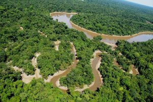 Image 22f. Aerial view of Yaguas River and the Cachimbo tributary. Photo Credit: Alvaro del Campo (Field Museum)