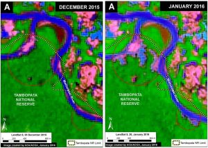 Image 24a. Landsat images showing the expansion of deforestation inside the Tambopata National Reserve between December 2015 (left panel) and January 2016 (right panel). Data: USGS, SERNANP.