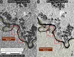 Image 24c. Radar images showing the expansion of deforestation inside the Tambopata National Reserve between November 2015 (left panel) and January 2016 (right panel) Data: SERNANP, Sentinel-1