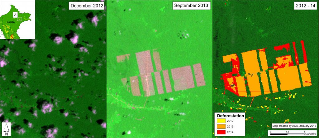 Image 25b. Deforestation for cacao in northern Peru between December 2012 (left panel) and September 2013 (center panel) and cumulative 2012-14 (right panel). Data: USGS, PNCB/MINAM, Hansen/UMD/Google/USGS/NASA