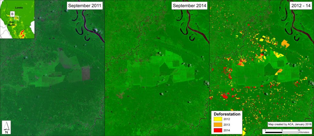 Image 25c. Deforestation for oil palm in northern Peru between September 2011 (left panel) and September 2014 (center panel) and cumulative 2012-14 (right panel). Data: USGS, PNCB/MINAM, Hansen/UMD/Google/USGS/NASA