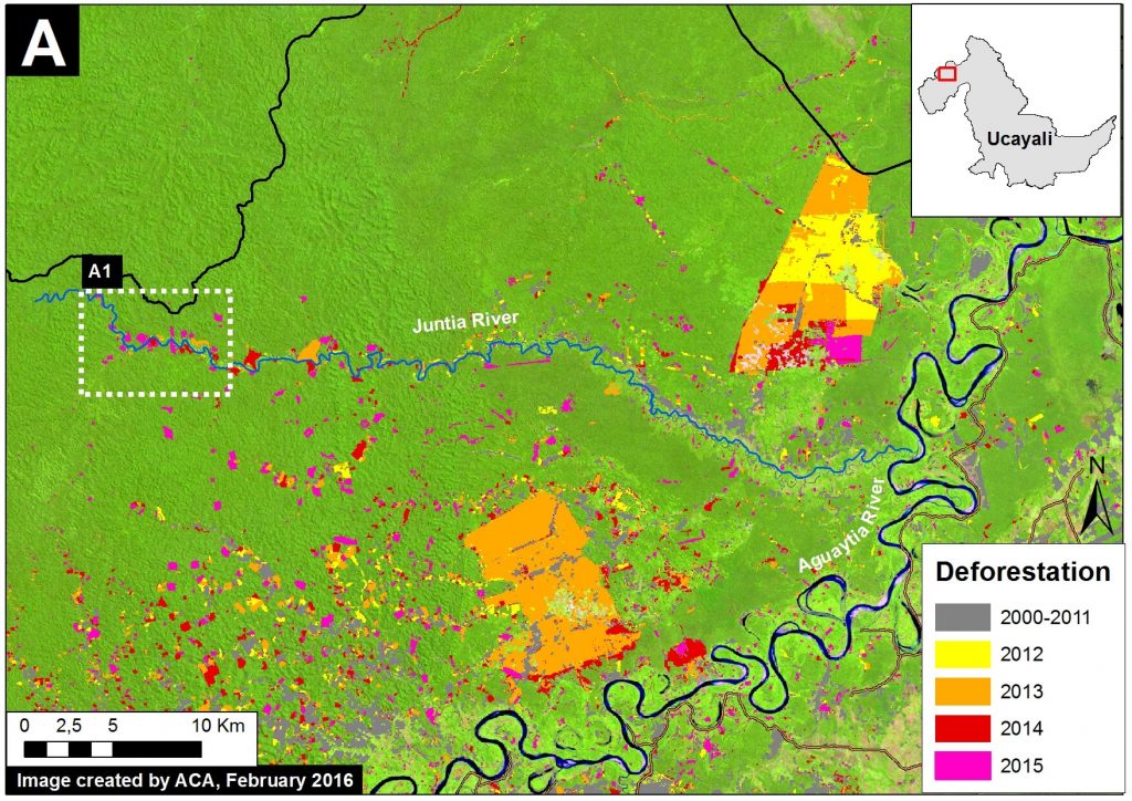 Image 26b. 2000-15 deforestation for area in Inset A. Data: Hansen et al 2016 (ERL), PNCB/MINAM, Hansen/UMD/Google/USGS/NASA, USGS (Landsat 8)