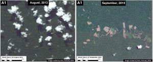 Image 26c. High-resolution view of area in Inset A1 before (left panel) and after (right panel) recent deforestation events. Data: WorldView-2 de Digital Globe (NextView).