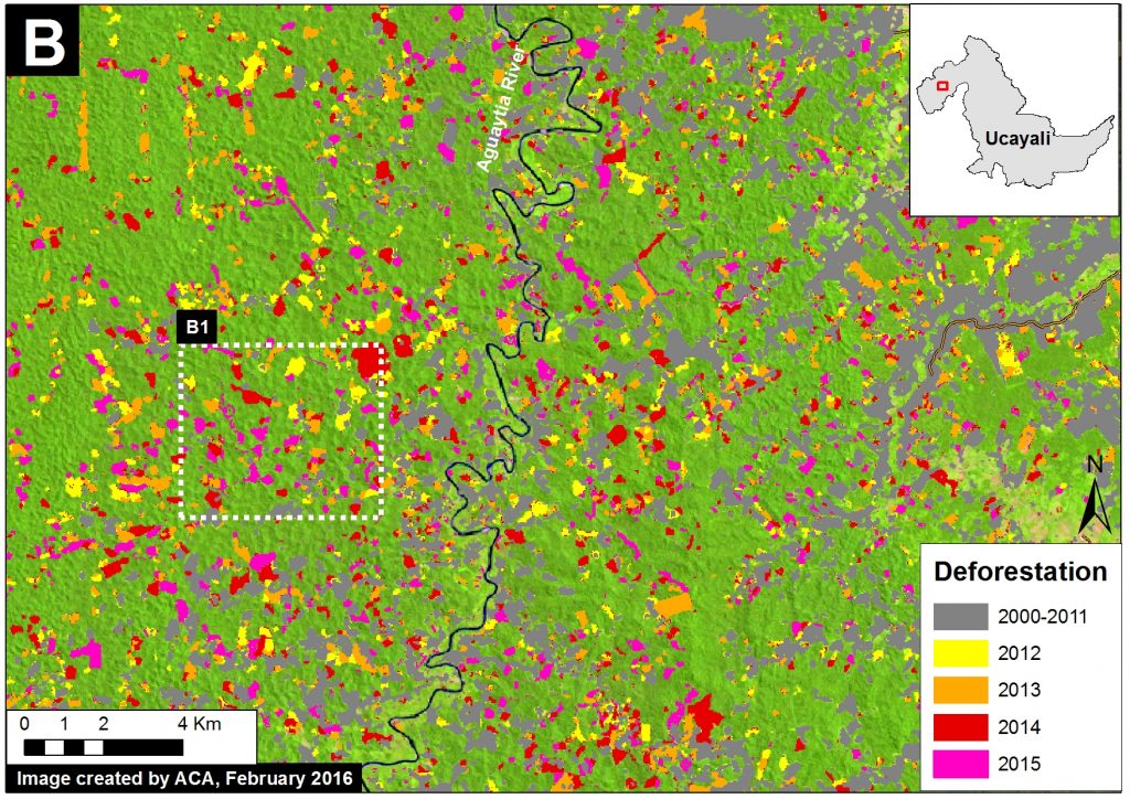 Image 26d. 2000-15 deforestation for area in Inset B from Image Xa. Data: Hansen et al 2016 (ERL), PNCB/MINAM, Hansen/UMD/Google/USGS/NASA, USGS (Landsat 8)