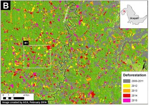 Image 26d. 2000-15 deforestation for area in Inset B from Image Xa. Data: Hansen et al 2016 (ERL), PNCB/MINAM, Hansen/UMD/Google/USGS/NASA, USGS (Landsat 8)