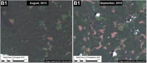 Image 26e. High-resolution view of area in Inset B1 before (left panel) and after (right panel) recent deforestation events. Data: WorldView-2 de Digital Globe (NextView).