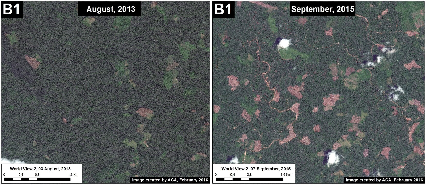 MAAP #26: Deforestation Hotspots in the Peruvian Amazon, 2015 - Amazon ...
