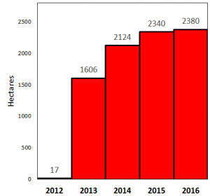 Data: PNCB/MINAM, Hansen/UMD/Google/USGS/NASA, Hansen et al 2016 (ERL)***