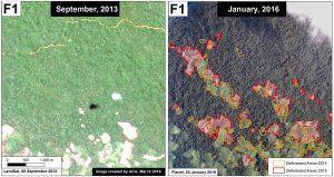 Image 28d. Data: NASA/USGS, Planet Labs, PNCB/MINAM, UMD/GLAD