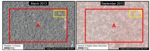 Image 35b. Data: Airbus, Digital Globe (Nextview)