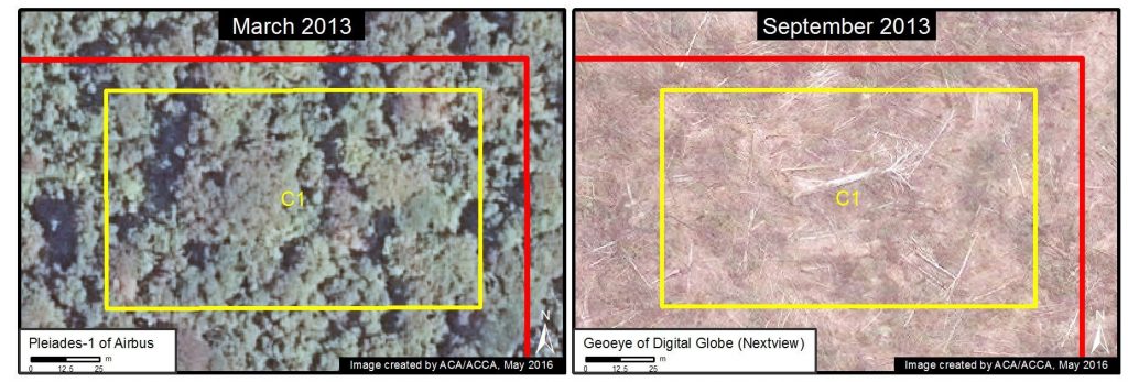 Image 35g. Data: Airbus, Digital Globe (Nextview)