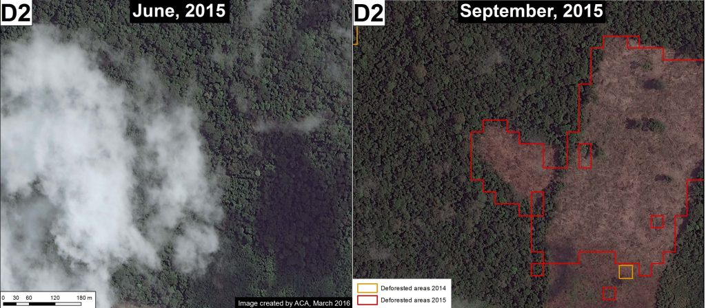 Image 37f. Data: WorldView of Digital Globe (NextView).