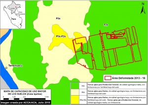 Image 38a. Data: MINAGRI 2016. Red lines indicate areas deforested by United Cacao between 2013 and 2016. Green indicates areas with Optimum Land Use classification of Forest Production, while the yellows indicate areas with Optimum Land Use classification of Agriculture.