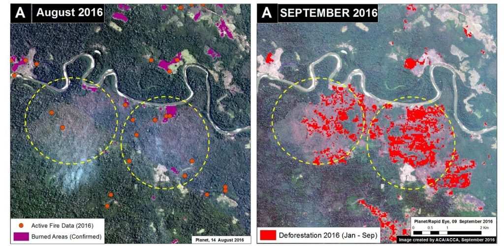 MAAP #47: Fires Degrade Southern Peruvian Amazon (Madre De Dios ...