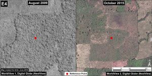 Image 48e. Data: Digital Globe (Nextview)