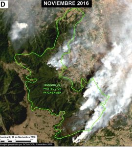 Image 51j. Data: SERNANP, USGS/NASA. Click to enlarge.