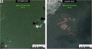 Image 54b. Data: Planet. Note: Blowdown in Ampiyacu Apayacu RCA, not Maijuna.