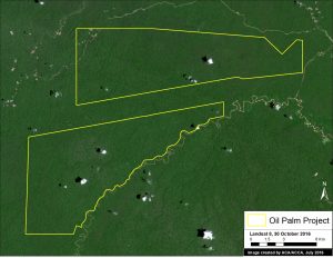 Image 64c. Data: NASA/USGS, Grupo Palmas (Grupo Romero)