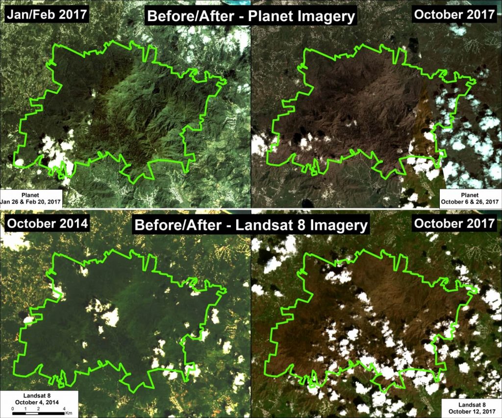 Image 73. Data: Planet, NASA/USGS (Landsat 8)