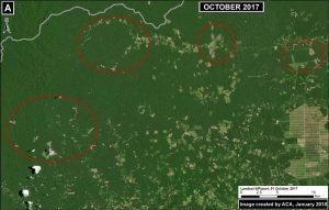 Image 78a. Central Amazon. Data: Planet, NASA/USGS