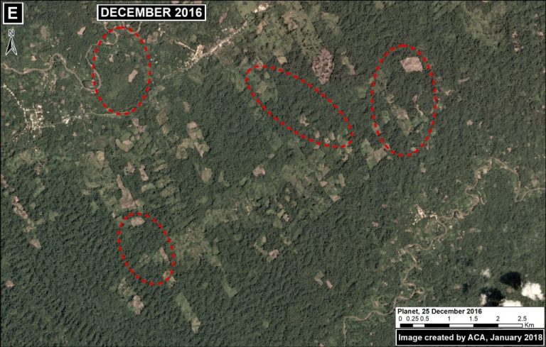 MAAP #78: Deforestation Hotspots in The Peruvian Amazon, 2017 - Amazon ...