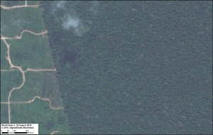 Image 80h. United Cacao. Data: DigitalGlobe (Nextview)