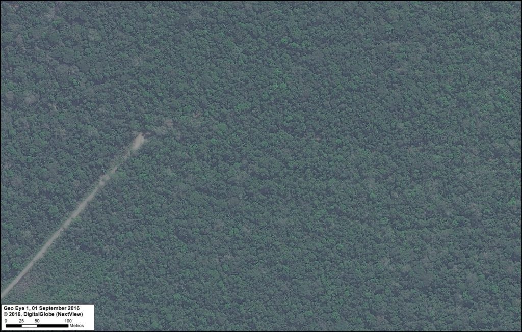 Image 80i. Amarakaeri/Manu road. Data: DigitalGlobe (Nextview)