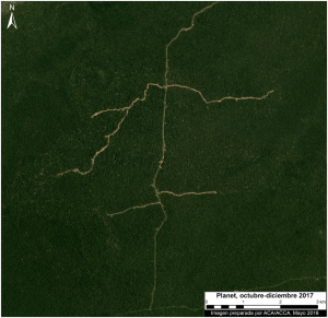 Example of new logging road in the Peruvian Amazon. Data: Planet