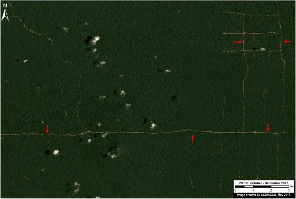 Image A2. Logging road near Sierra del Divisor. Data: Planet