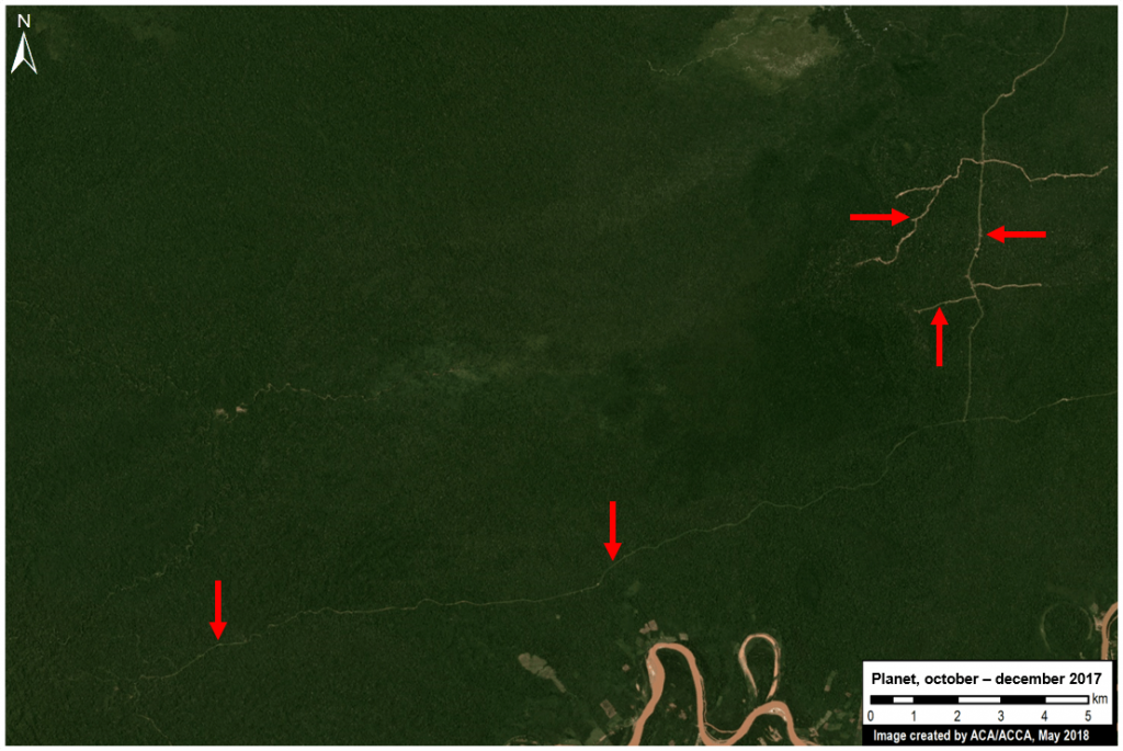 Image B2. Logging road near Cordillera Azul. Data: Planet