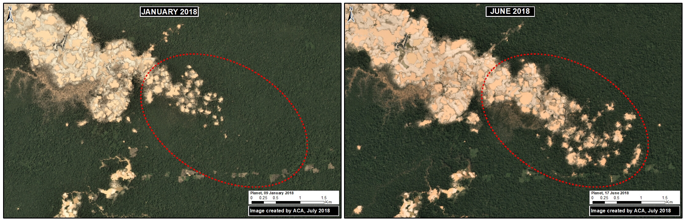 MAAP #87: Gold Mining Deforestation Continues In The Peruvian Amazon ...